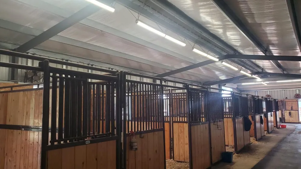 Expert electrician providing electrical repair in ,