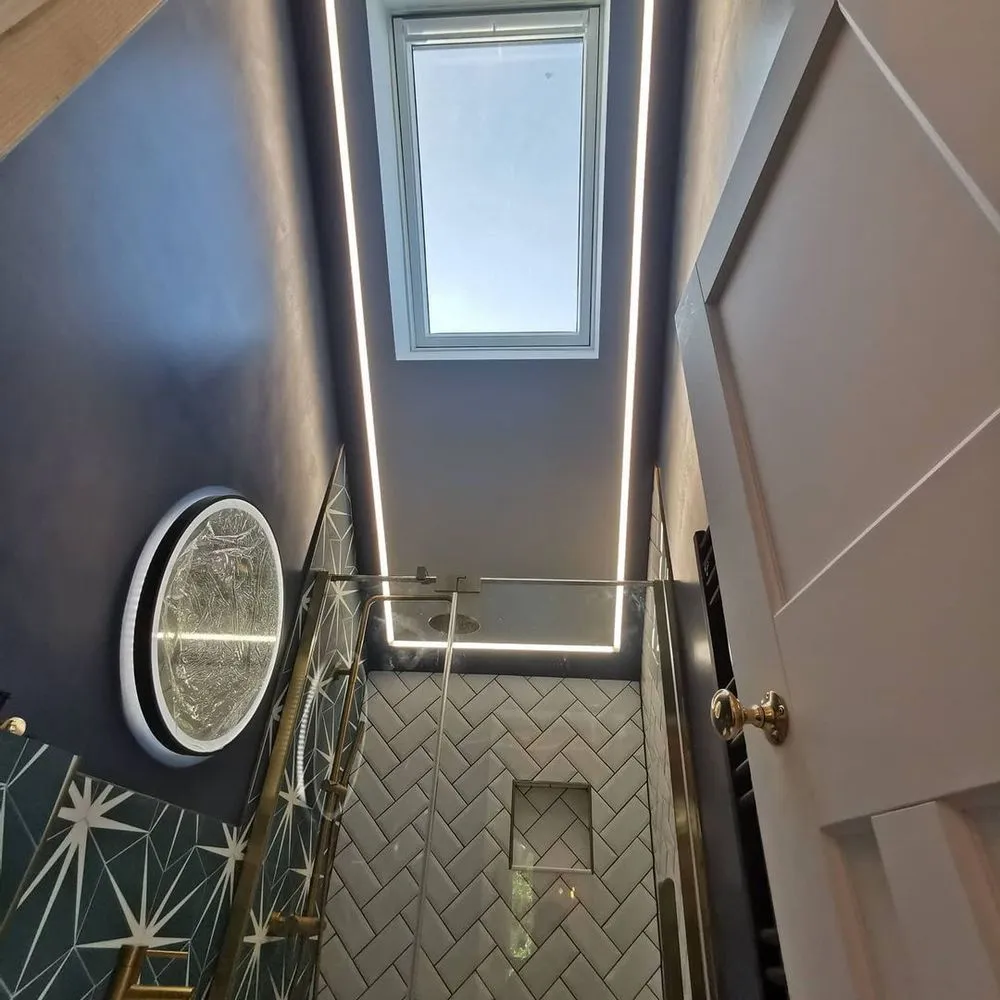 Slide of Dog House Electric