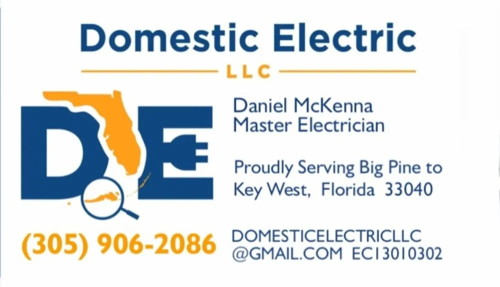 Slide of Domestic Electric