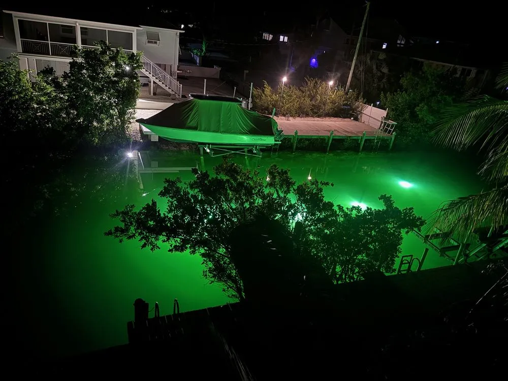 Slide of Domestic Electric