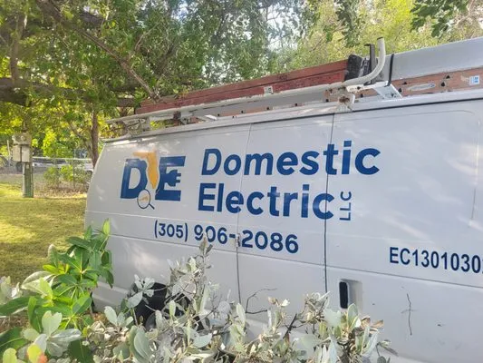 Domestic Electric