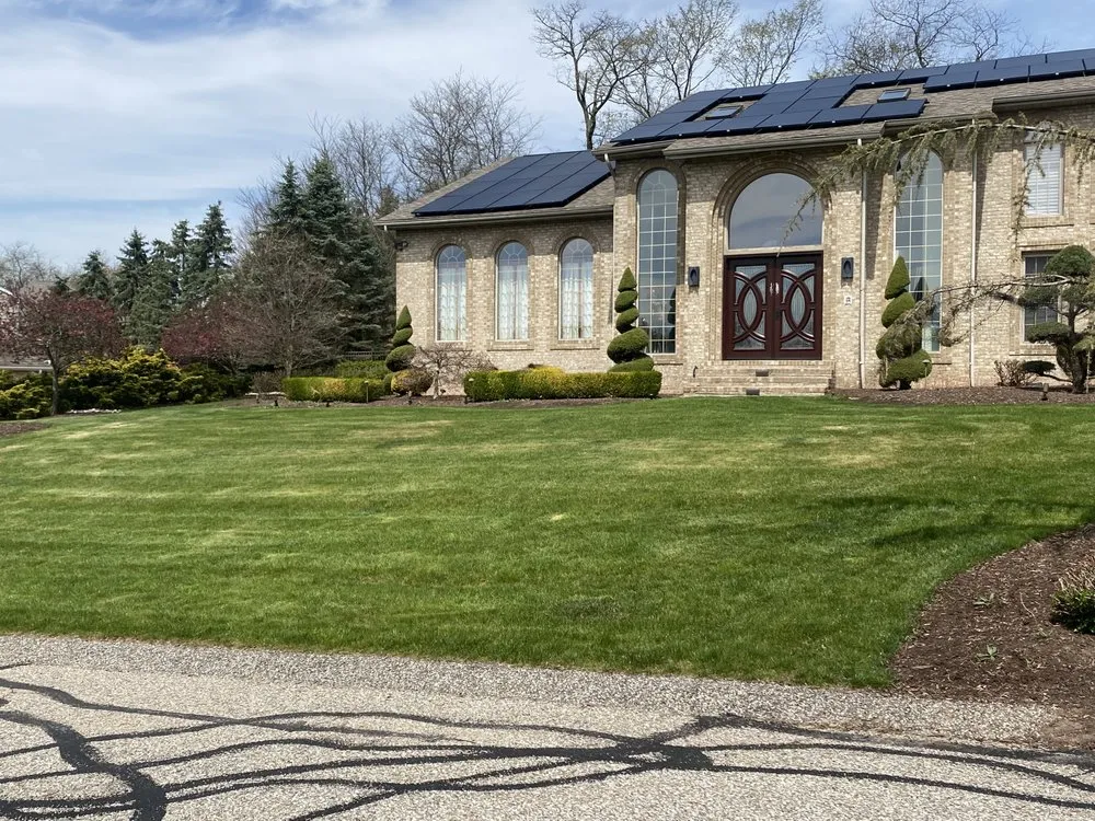 Slide of Dominic James & Co