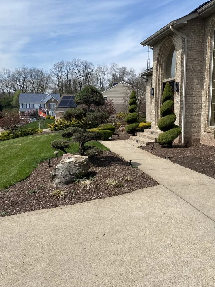 Slide of Dominic James & Co