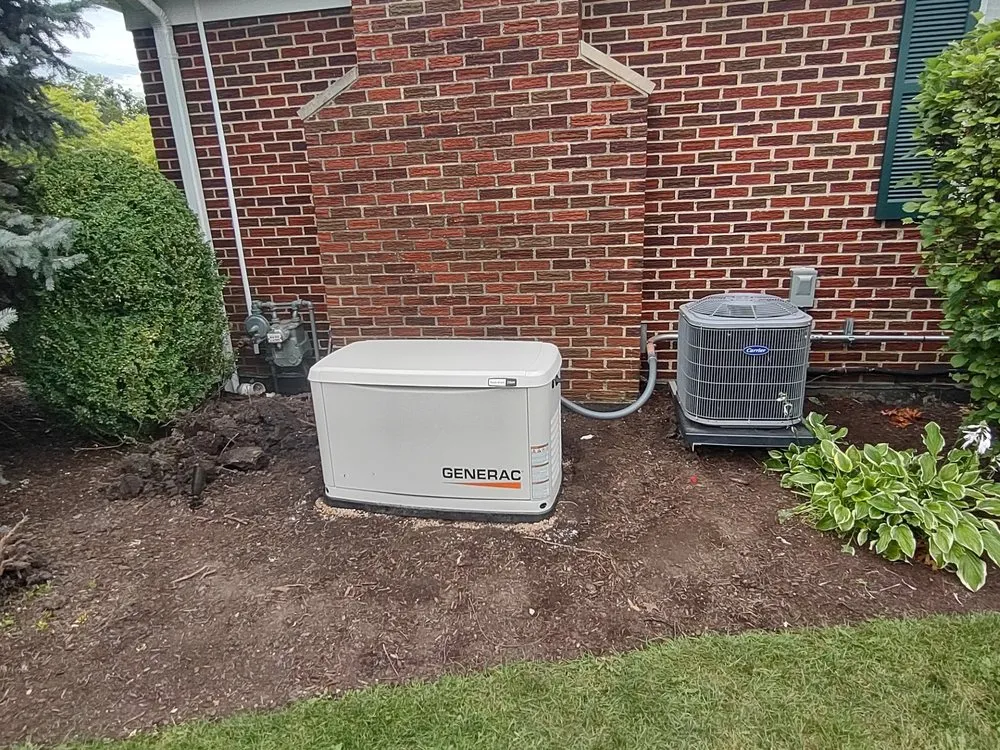 Slide of Donatello Electric