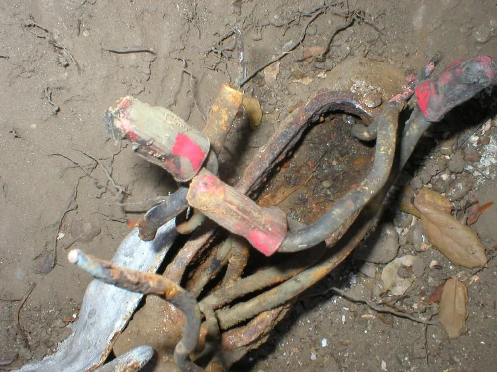 Slide of Donnell's Electric