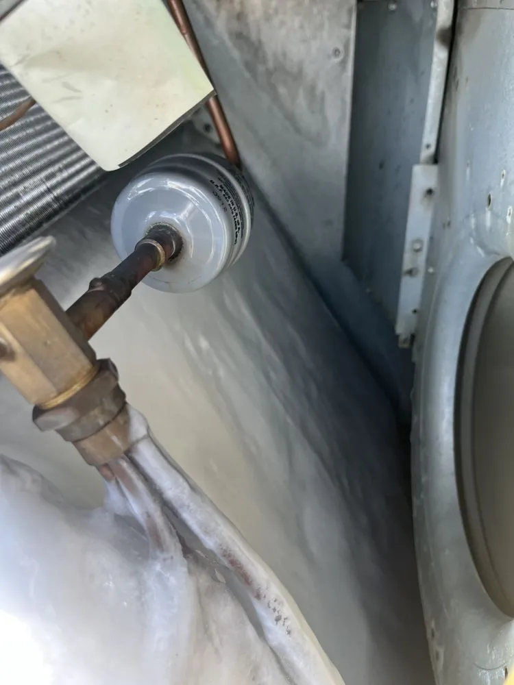 Slide of Dont Sweat it