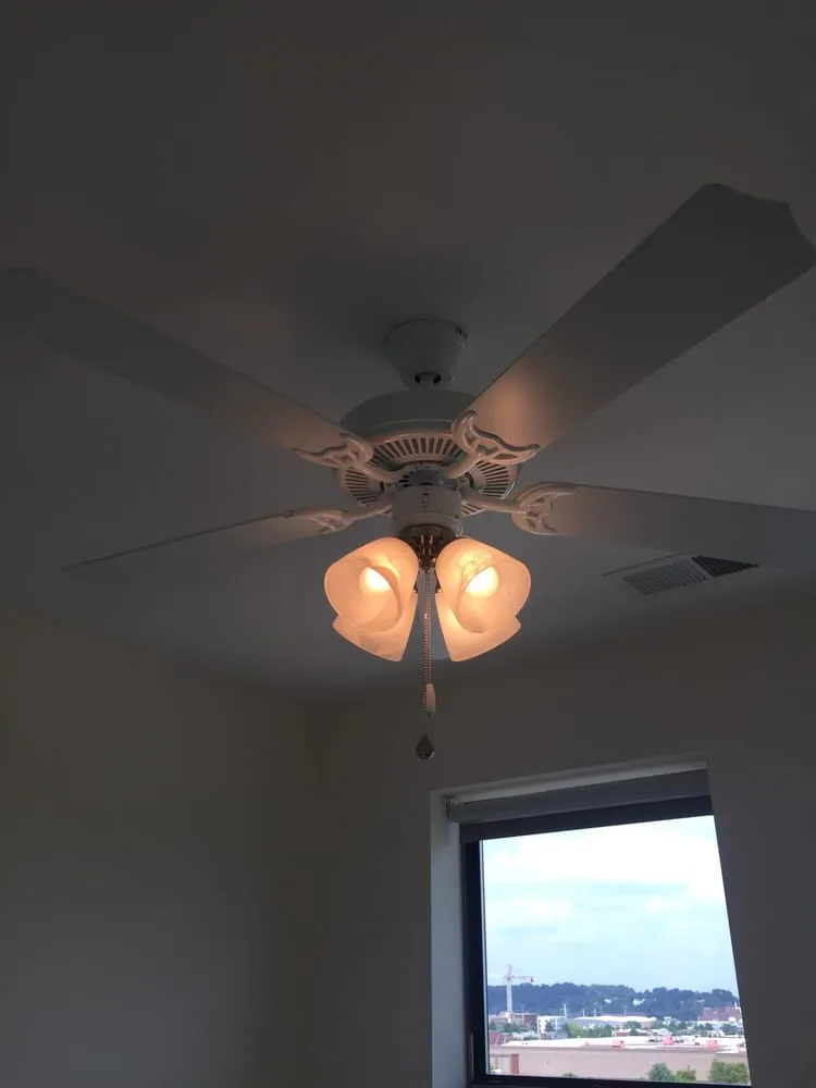 Slide of Dora Electric