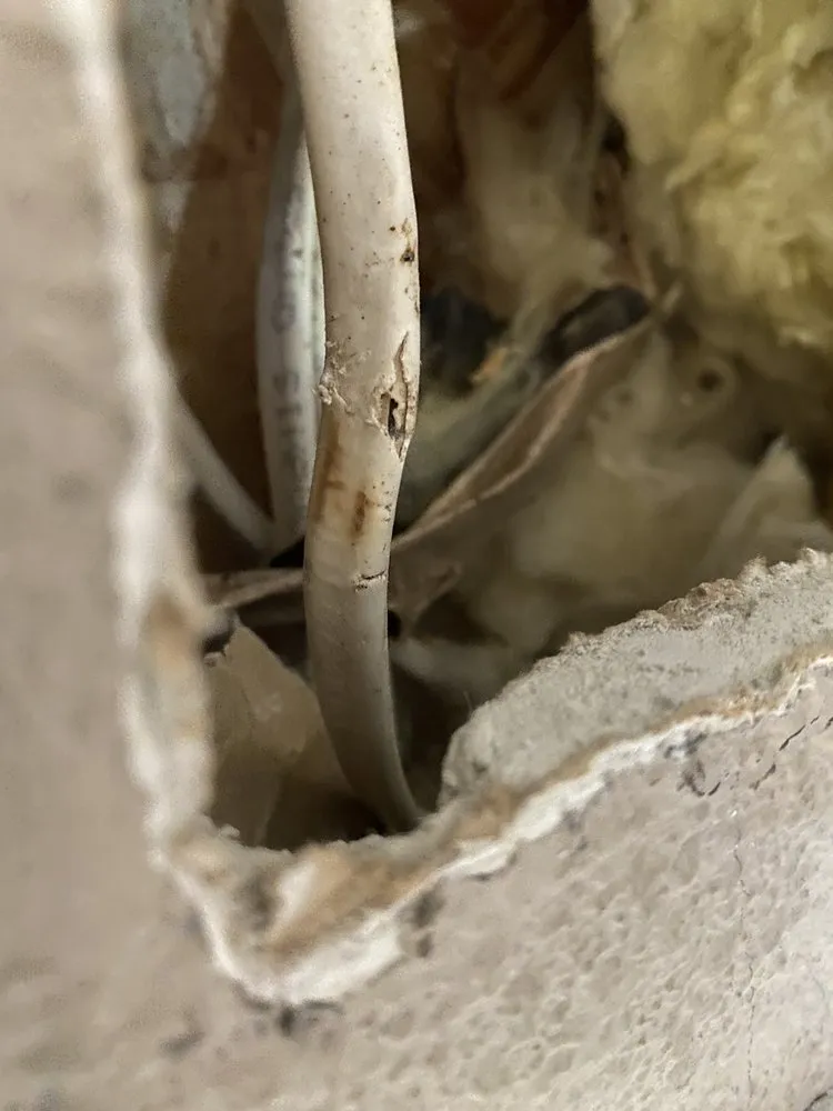 Slide of Dorn Electric