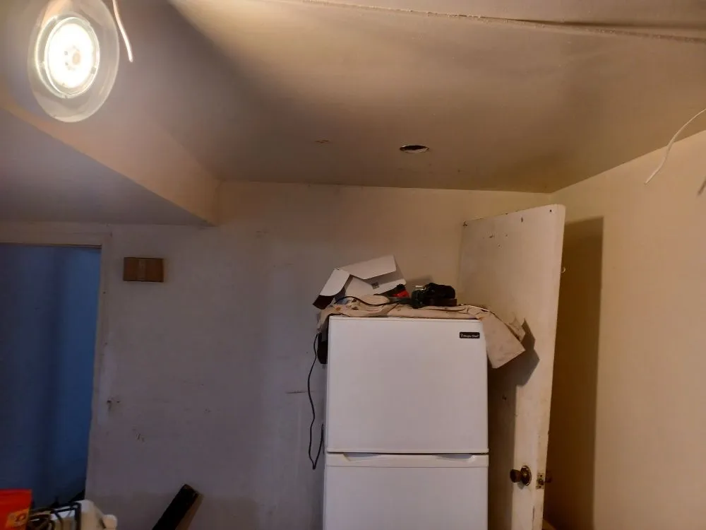 Slide of Dotson True Electric