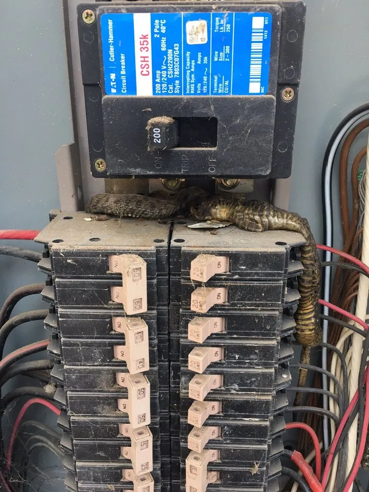 Slide of Double D Electric