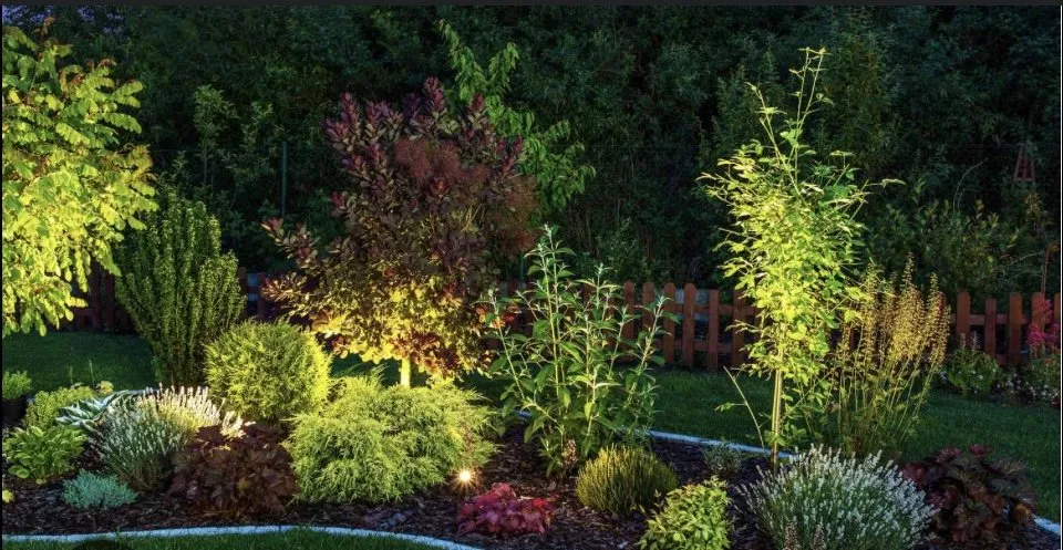 Slide of Double LK Services