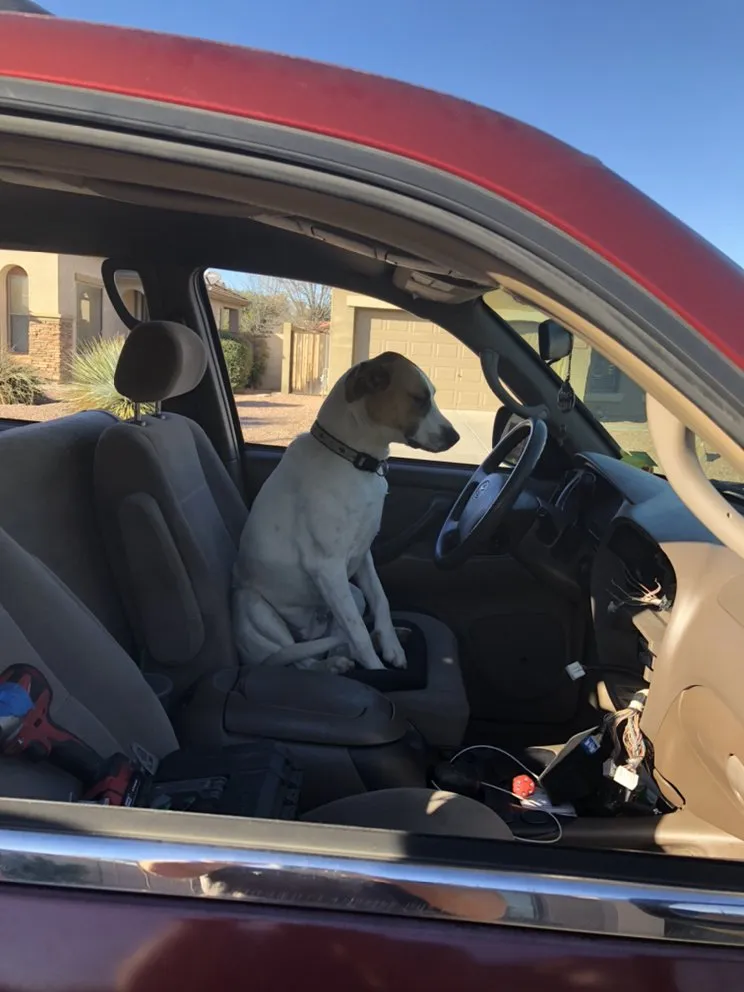 Slide of Douglas Wright Electric