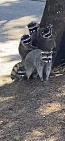 Slide of Doug's Electric