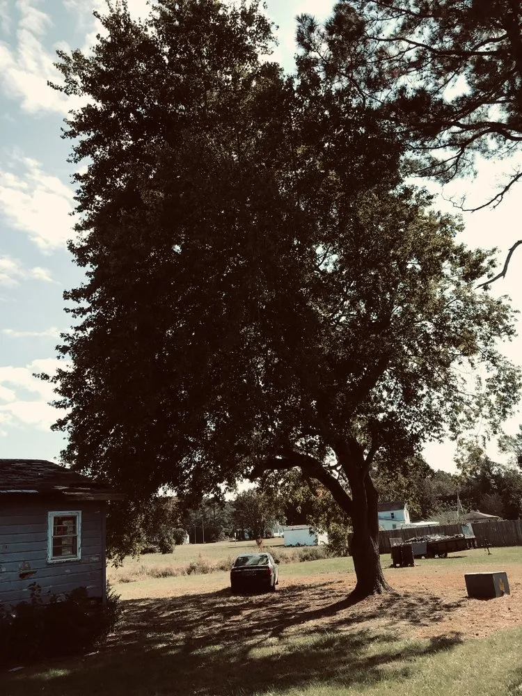 Slide of Doves Handyman Service