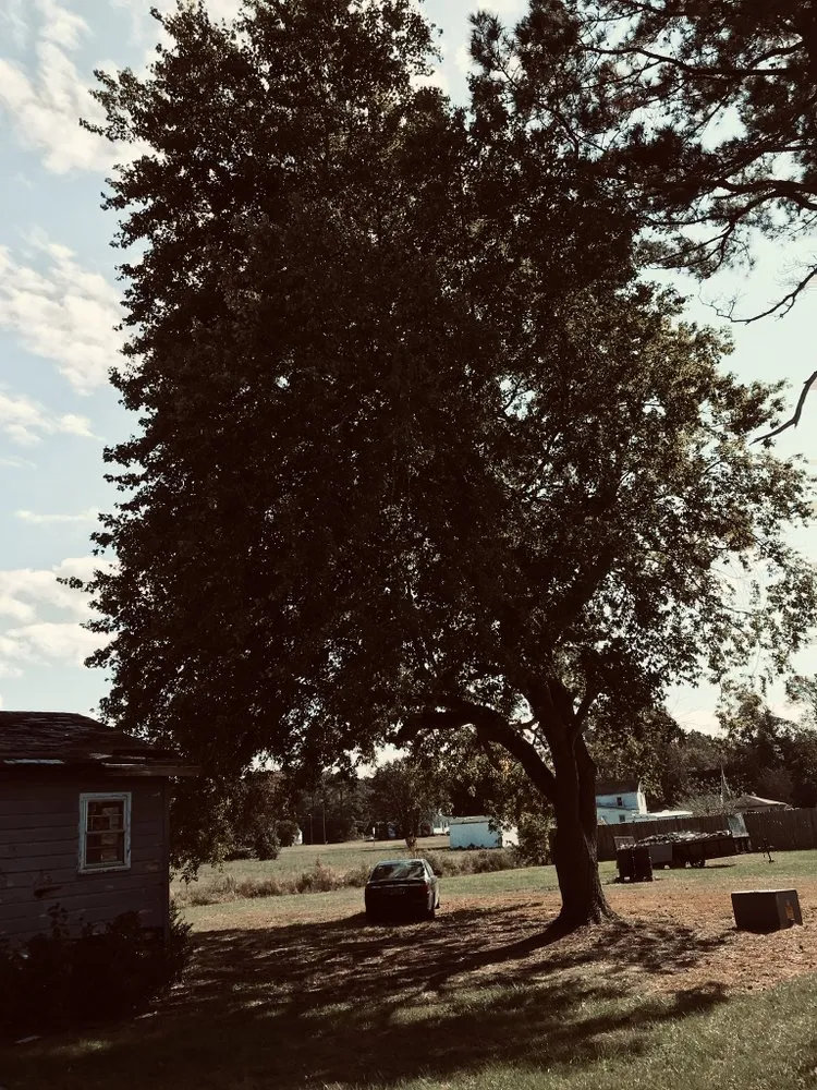 Slide of Doves Handyman Service