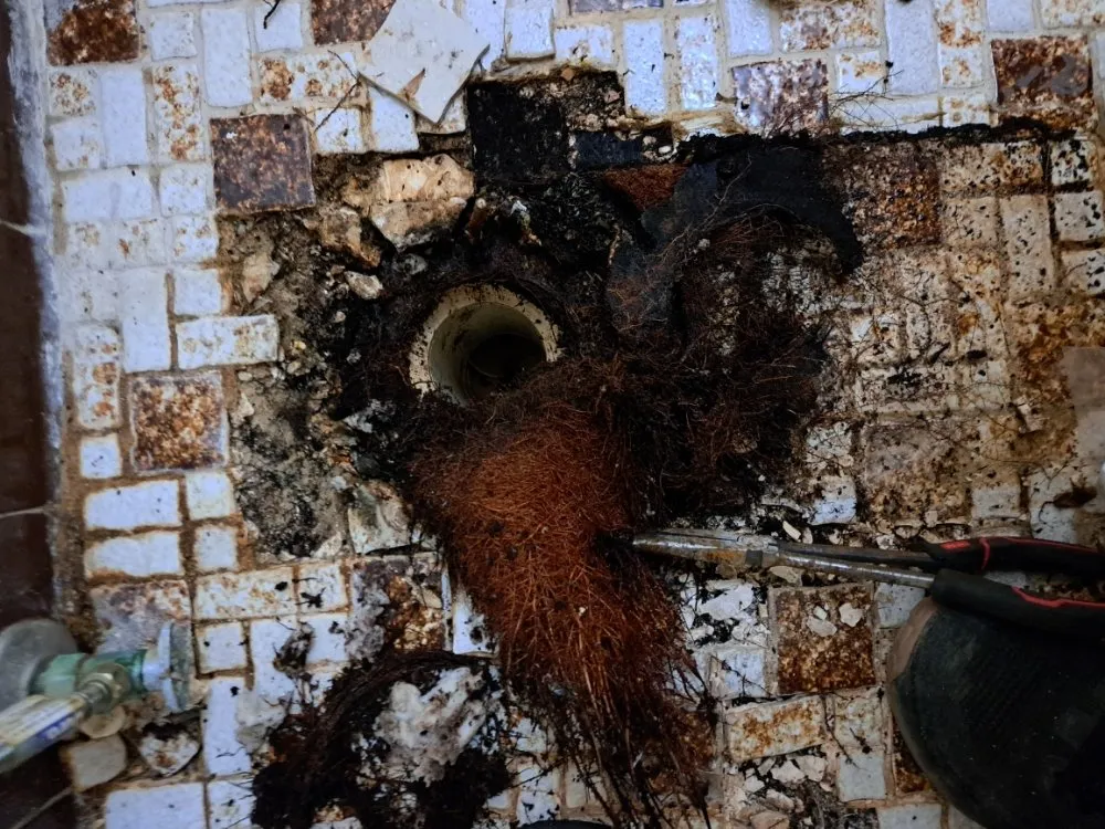 Slide of D.R. Services