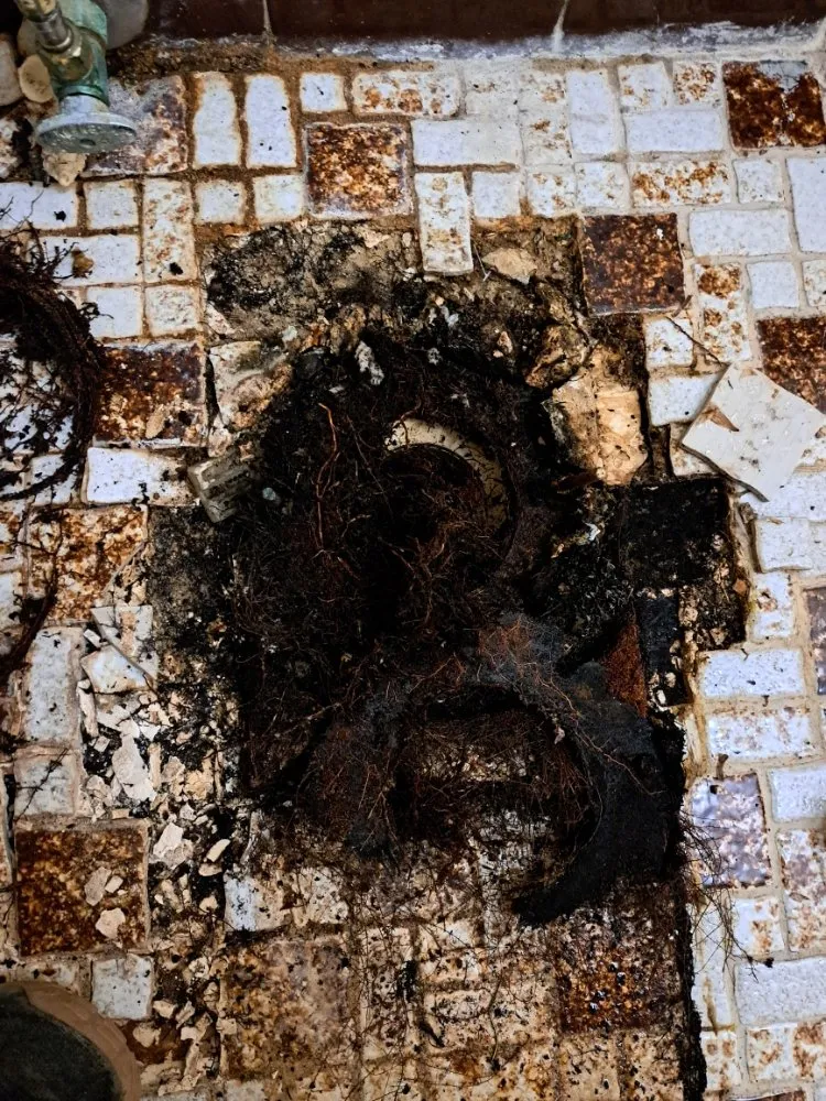 Slide of D.R. Services