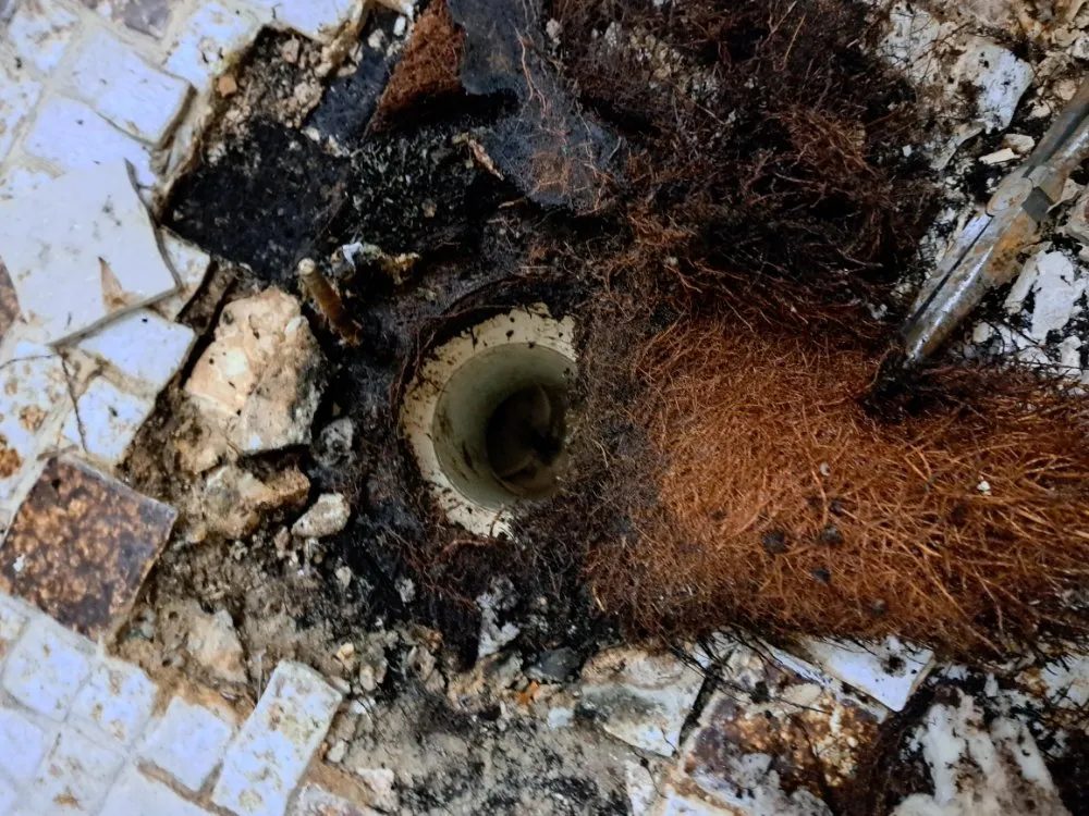 Slide of D.R. Services