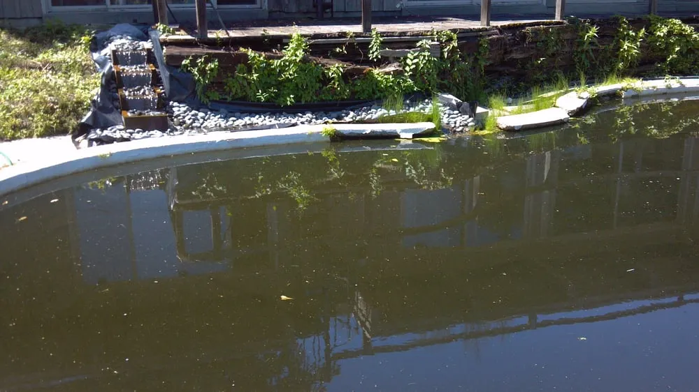 Slide of DR Services Unlimited