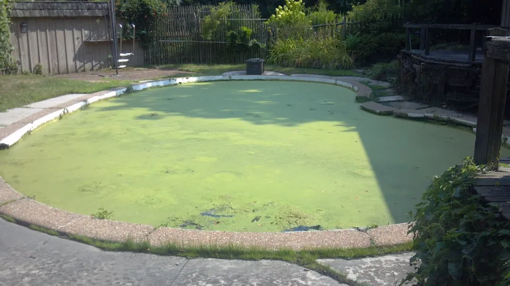 Slide of DR Services Unlimited