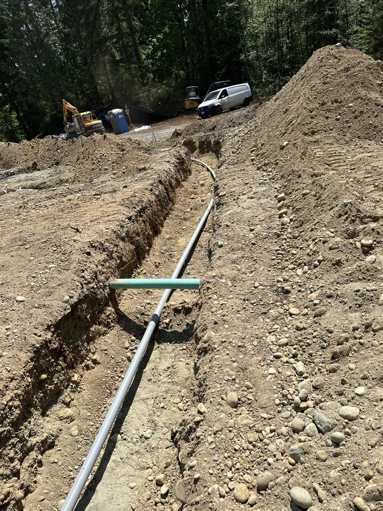 Slide of Dr Sparks Electric EC