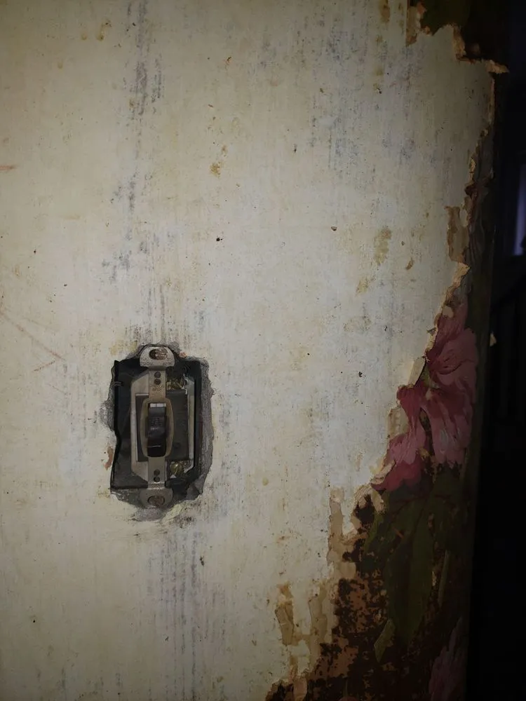 Slide of Dr. Watts Electric