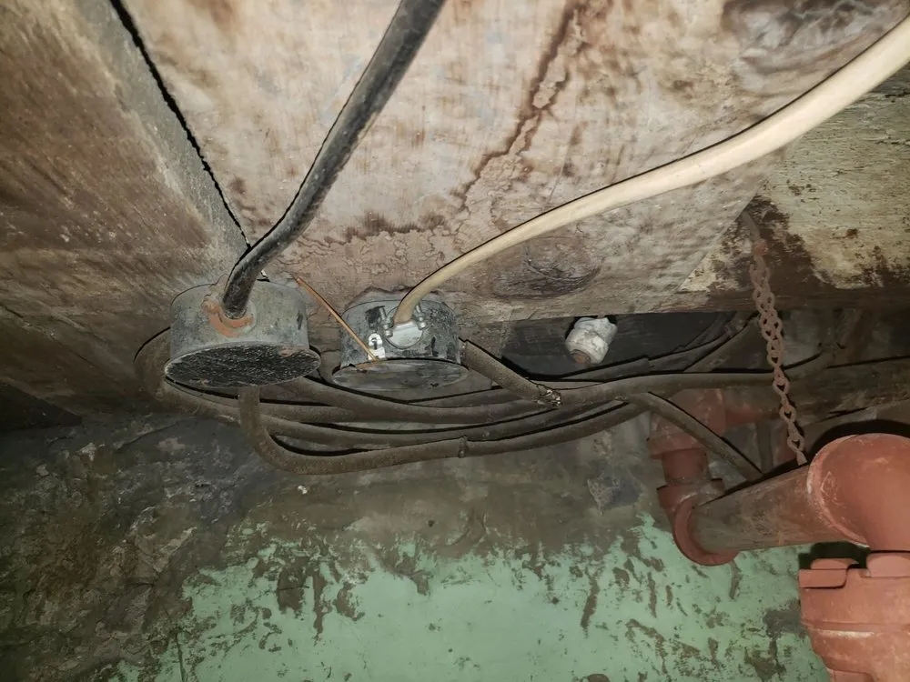 Slide of Dr. Watts Electric