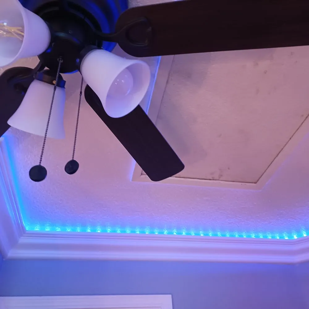 Expert outlet and switch repair service in ,  - Dream finder Construction