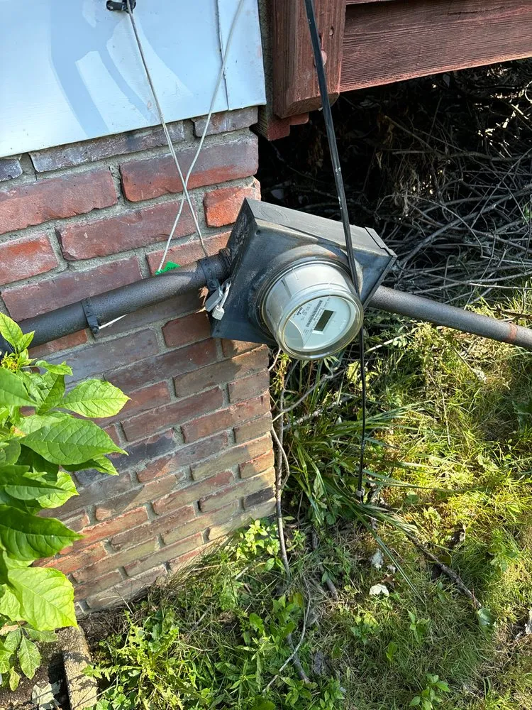 Slide of Dreamz 2 reality