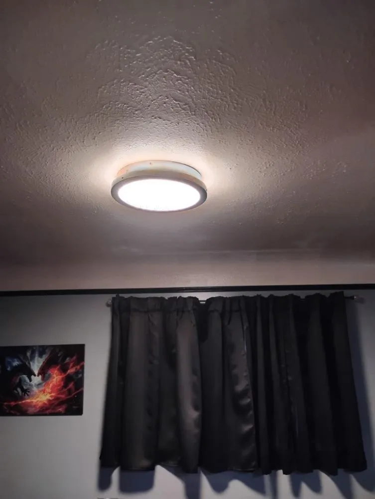 Slide of Dreamz 2 reality