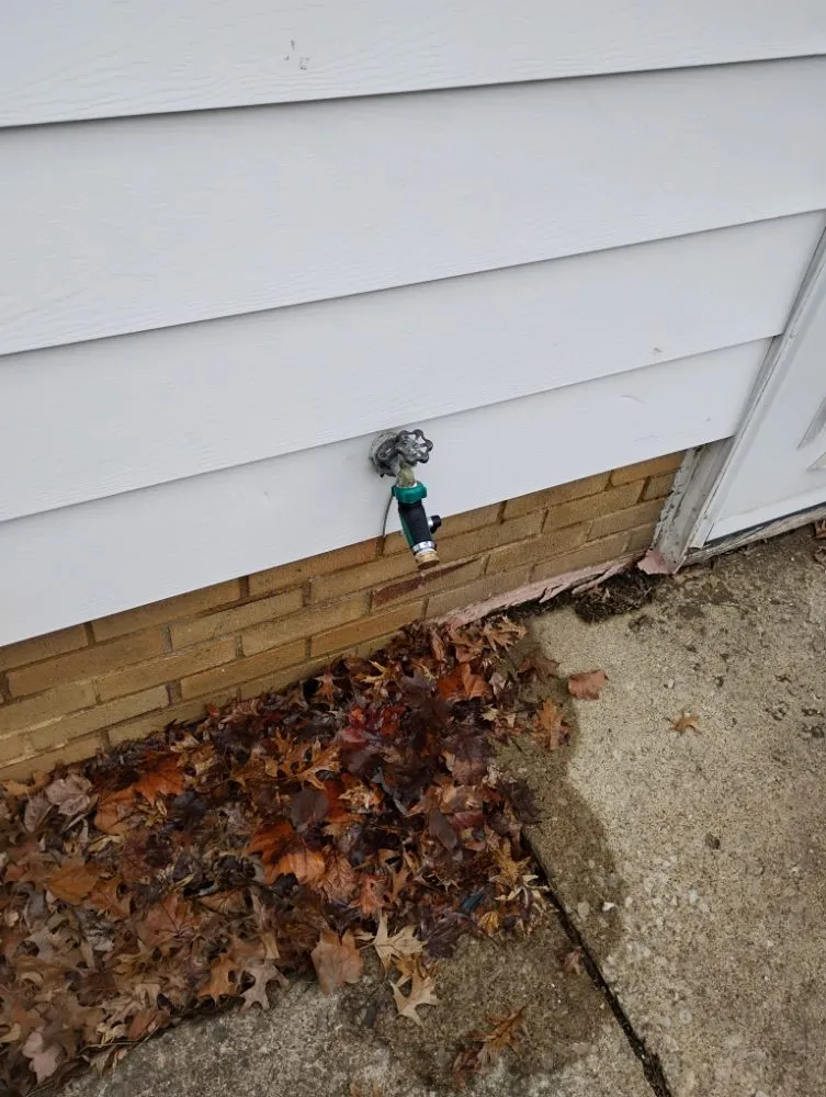 Slide of Dreamz 2 reality