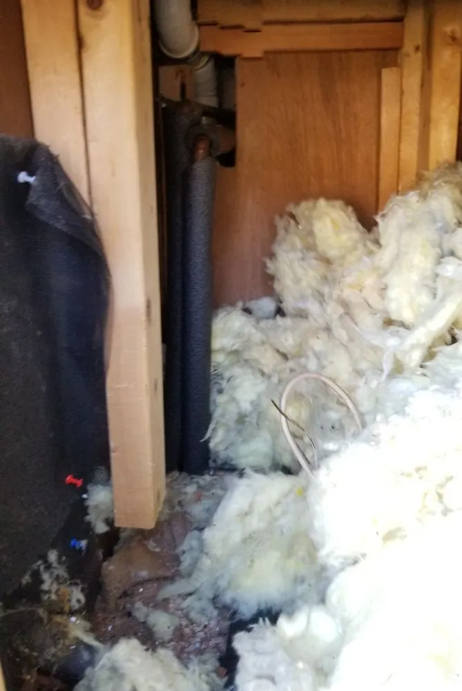 Slide of Drew Chaisson Master Electrician