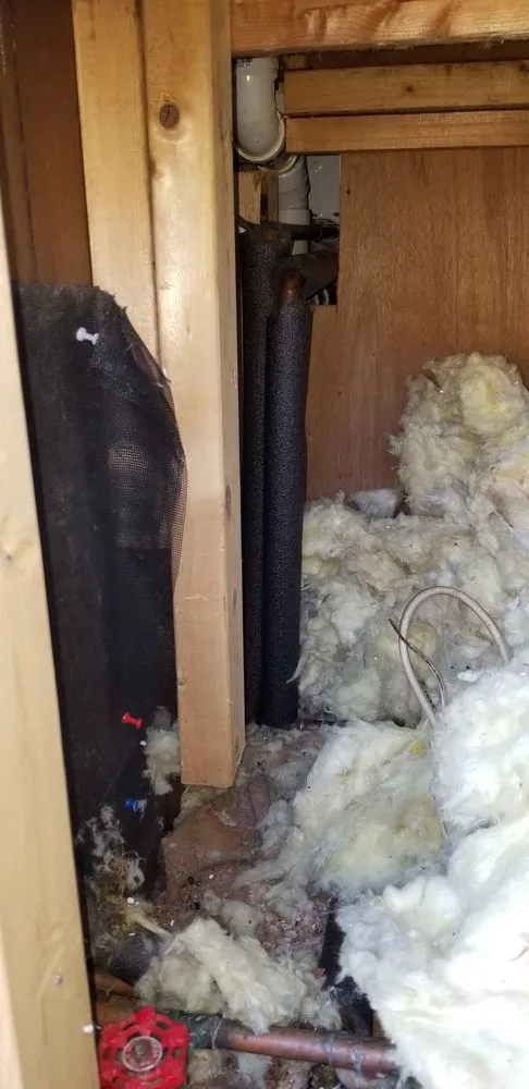 Slide of Drew Chaisson Master Electrician