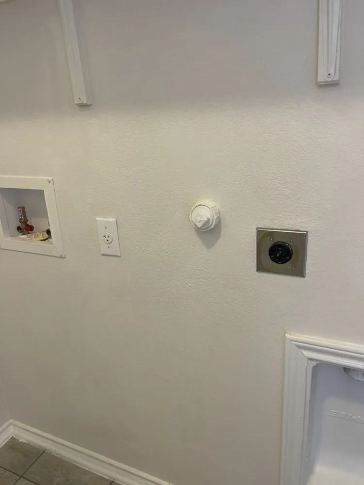 Slide of Drop Martinez Painting