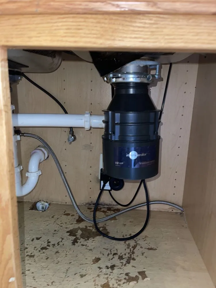 Slide of Drop Martinez Painting