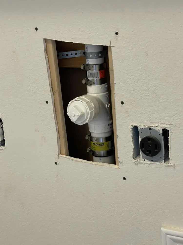 Slide of Drop Martinez Painting