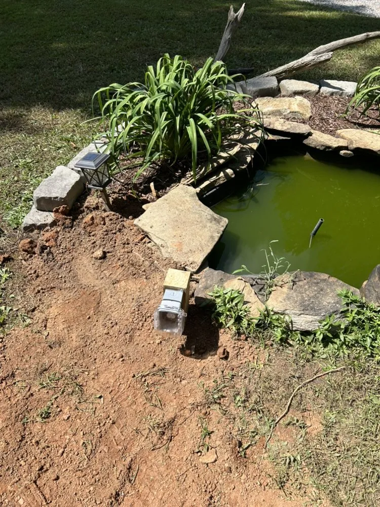 Slide of Dropla’s Electric