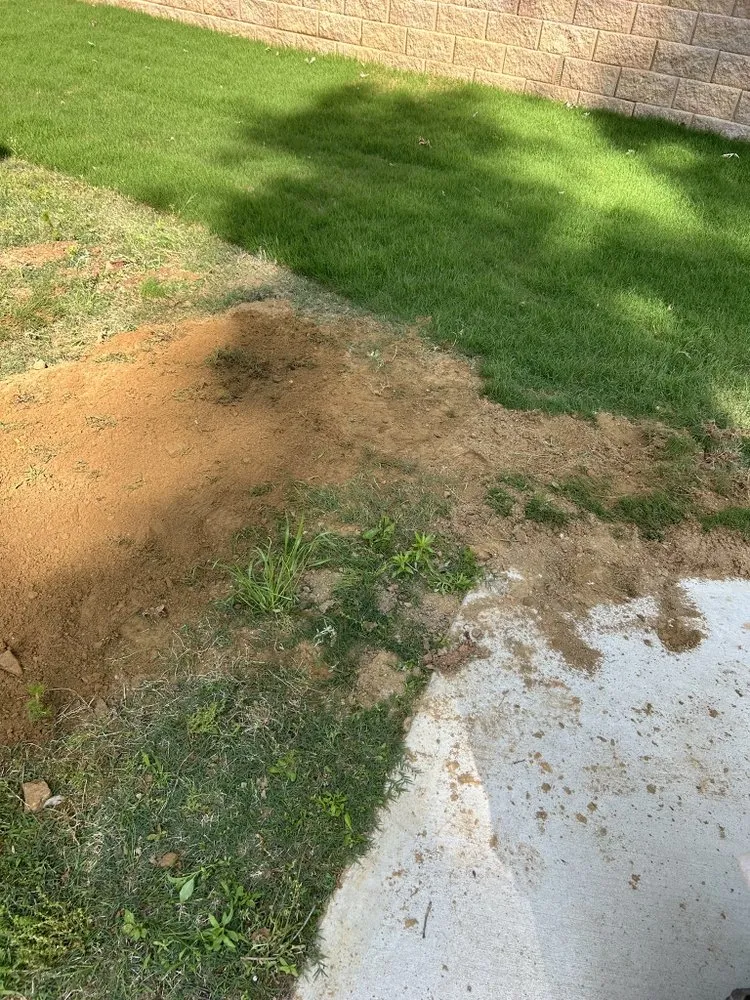 Slide of Dropla’s Electric