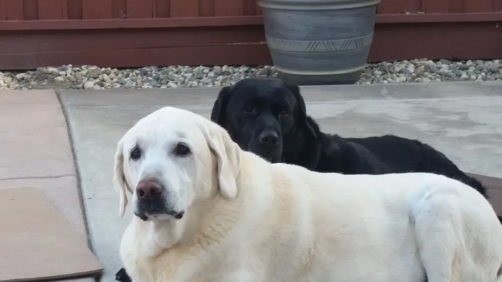 Slide of Duarte Repairs & Handyman Service