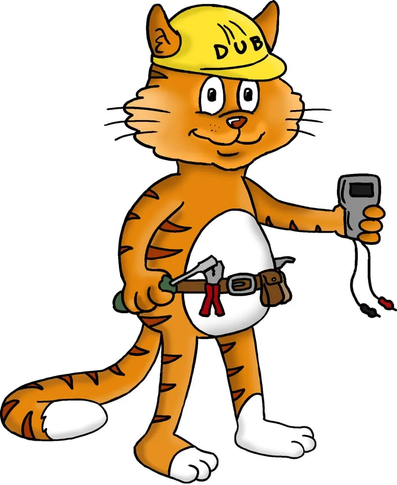 Slide of Dub Electric