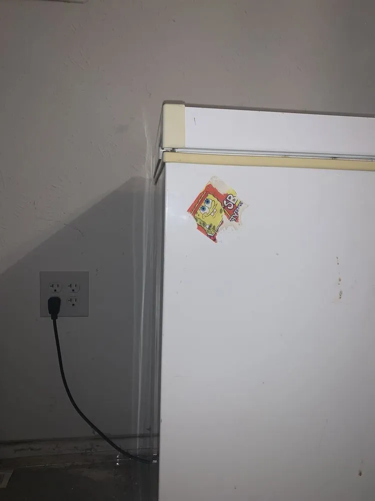 Slide of Dub Electric