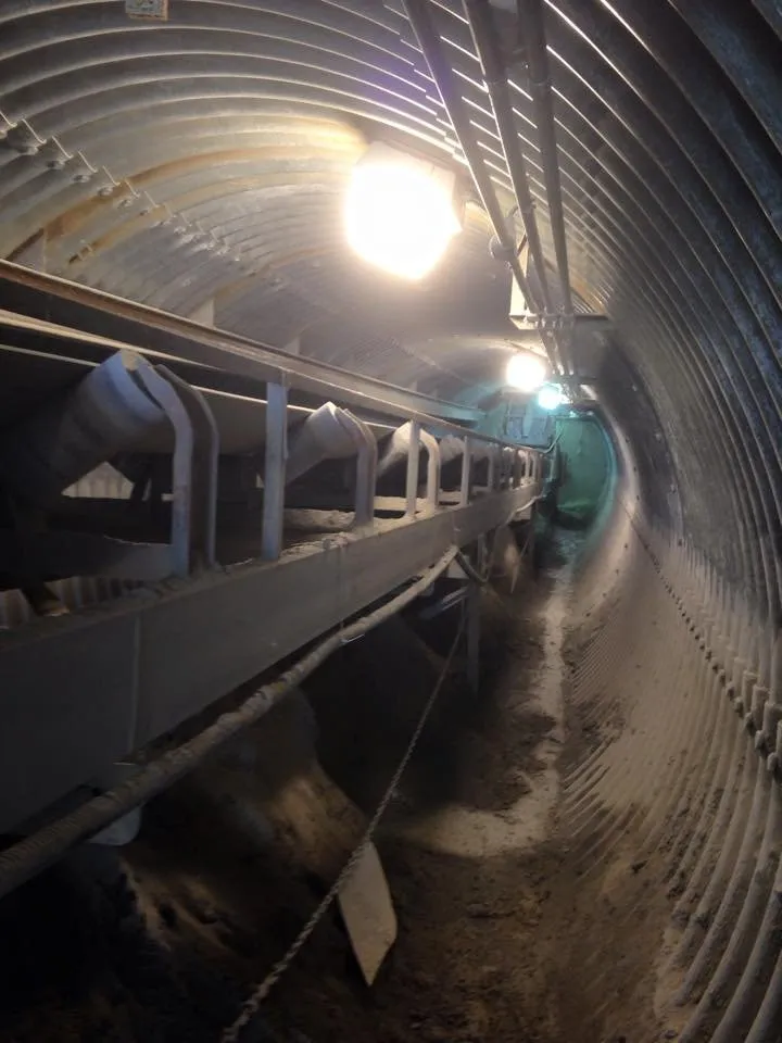 Slide of Dudely Electric