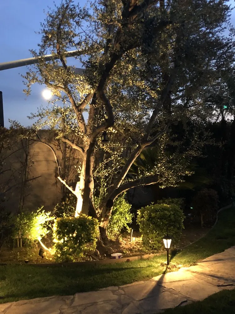 Expert electrician providing circuit breaker repair in , 