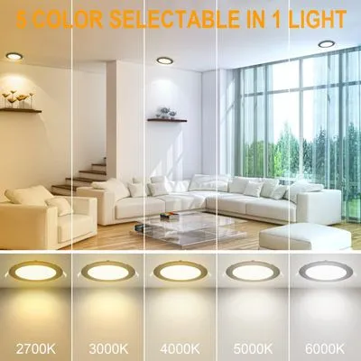 Dunbar's Electric Logo