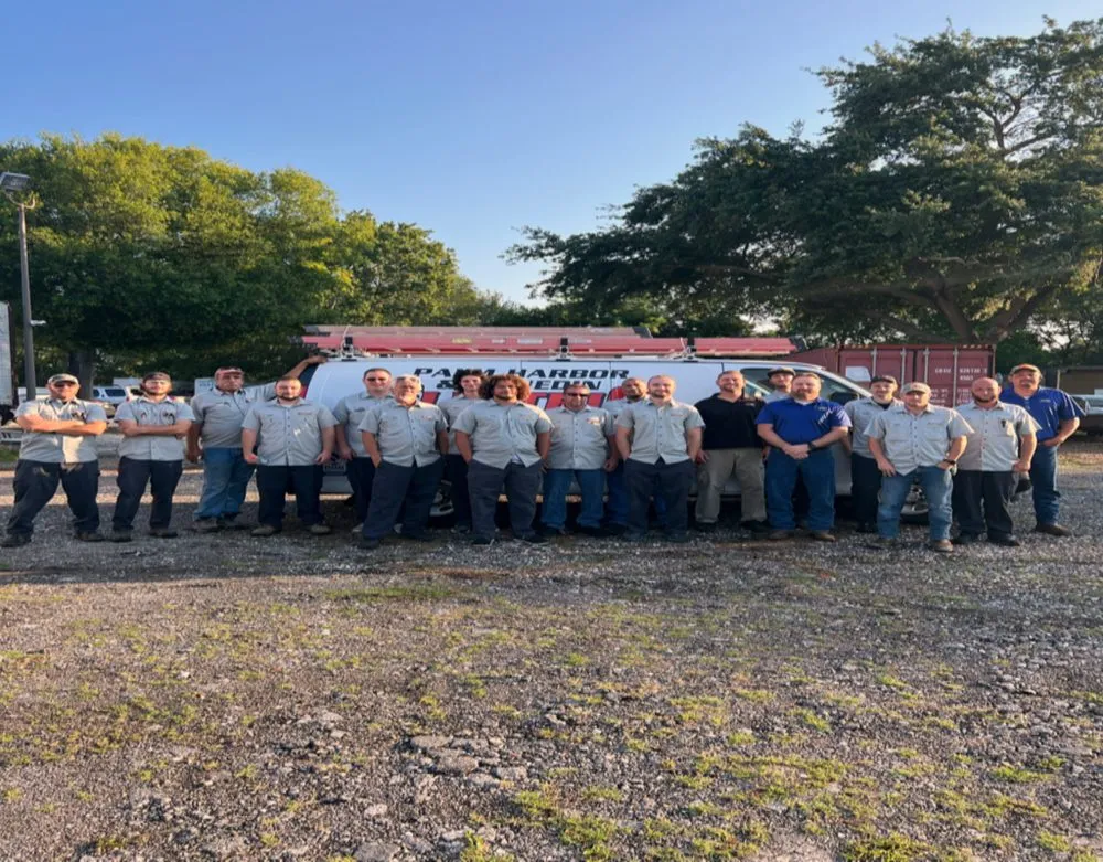 Slide of Dunedin Electric