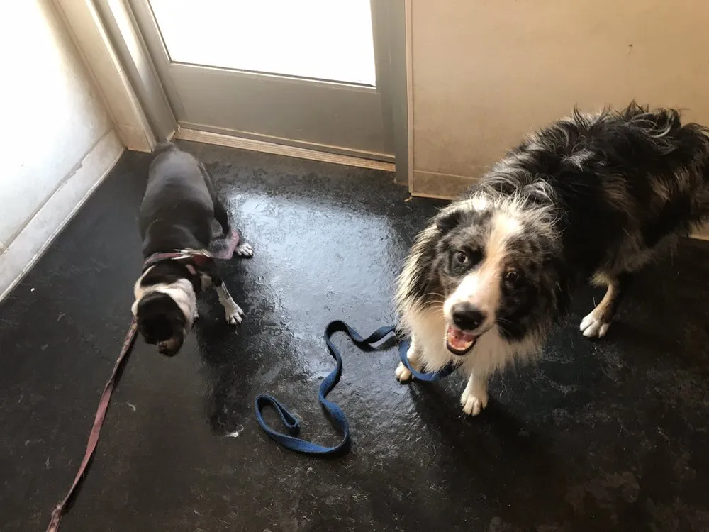 Licensed electrical repair in ,  by Dunham Electrical Edge