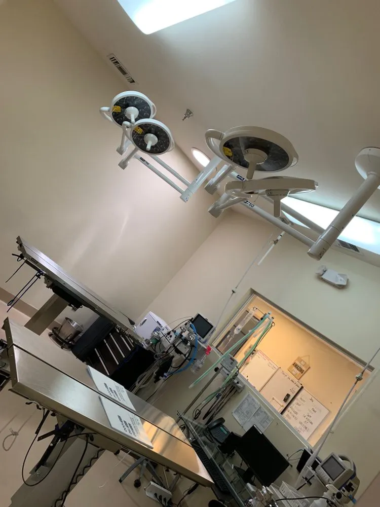 Slide of Duo Electric