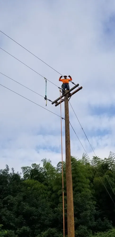 Slide of DW Miller Electrical