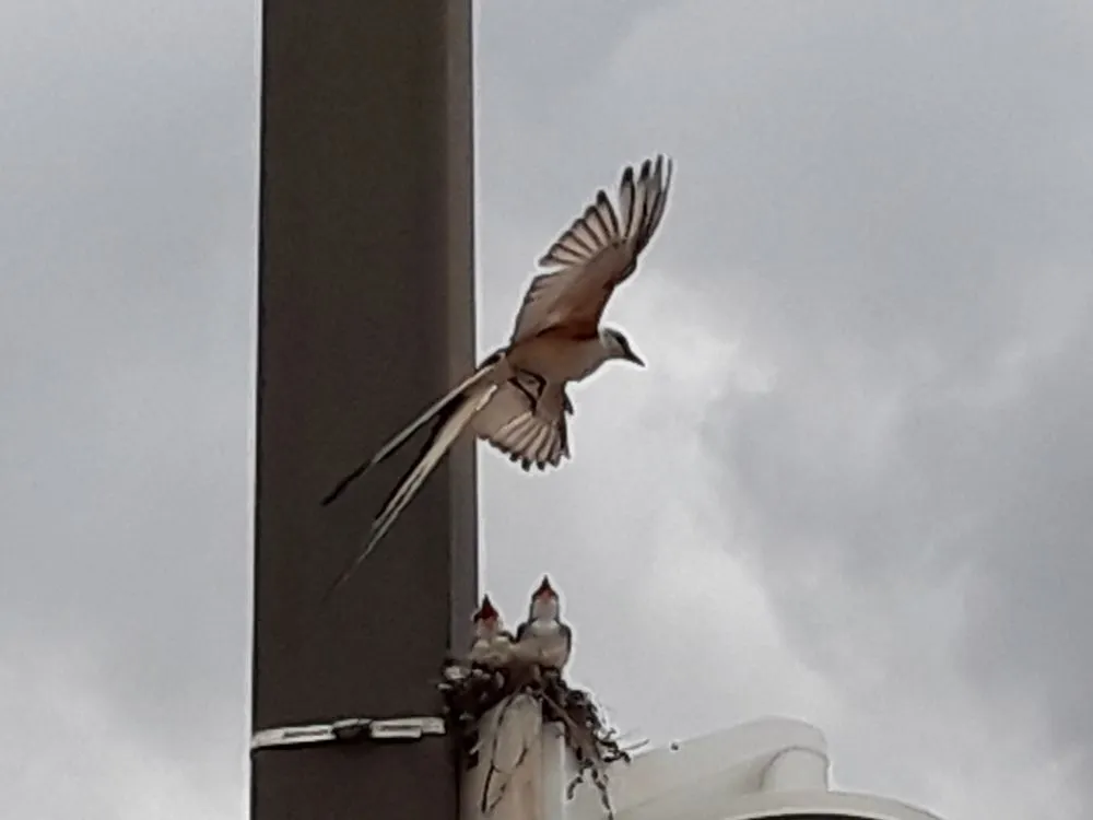 Slide of Dykes Electric