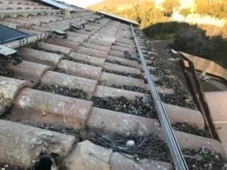 Slide of Dylan Electric